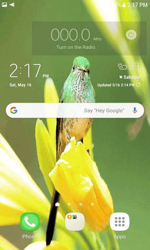 Bird On Flower LWP screenshot 2