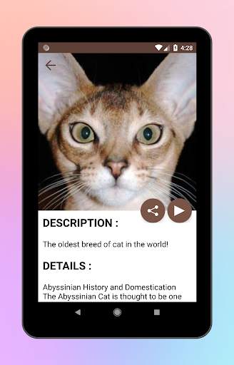 Animal World A-Z Collections screenshot 10