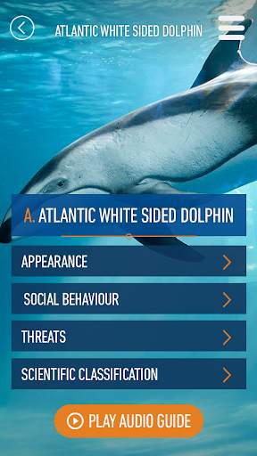 Whales of Iceland Audio Guide! screenshot 4