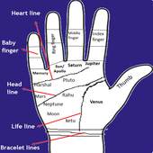 Palmistry 1.0