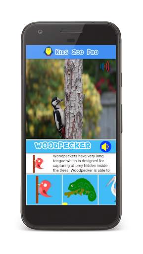 Kids Zoo : Animal Video and Sound screenshot 4