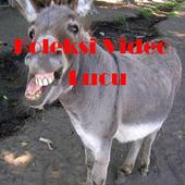Funny Videos Collections icon