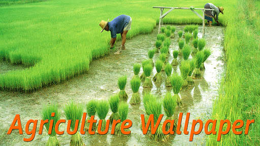 Agriculture Wallpaper HD screenshot 1