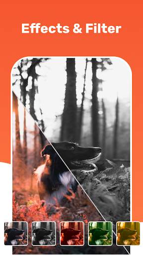 VidCut: Cutter Video App And Fast Video Maker App screenshot 5