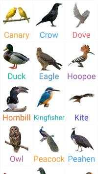 Birds Name with spelling and Picture 🐔 🐓 🐦 screenshot 2
