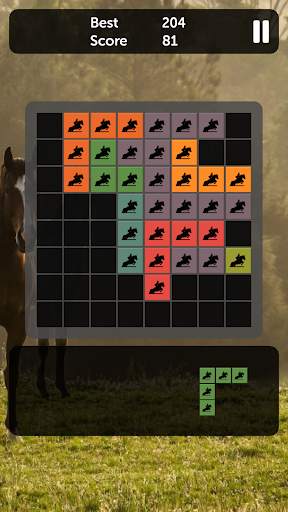 Horse Blocks - Puzzle Games screenshot 1
