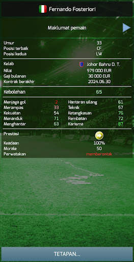 True Football 3 screenshot 4
