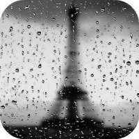 Rain In Paris Live Wallpaper icon
