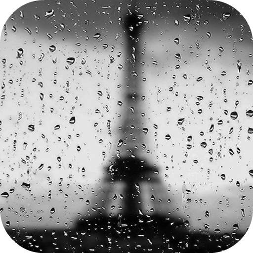 Rain In Paris Live Wallpaper 2.0