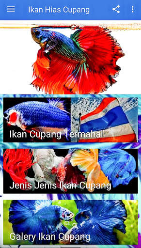 Ikan Hias Cupang screenshot 4