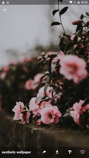Aesthetic wallpaper screenshot 7