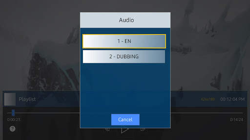 DuplexPlay screenshot 4