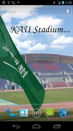 Saudi Arabia Flag screenshot 5