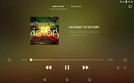 Victory NOW screenshot 6