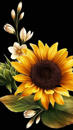 Sunflower Wallpaper HD screenshot 5