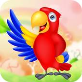 Real Talking Parrot : Talking Birds 1.0