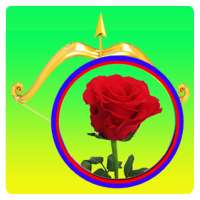 The bubbles and roses – Free game for android