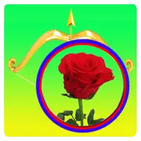 The bubbles and roses – Free game for android