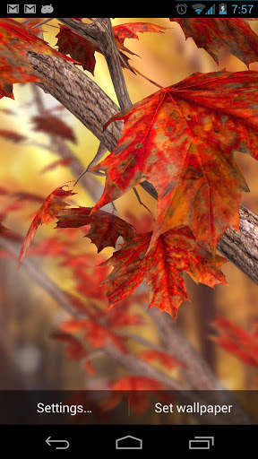 Autumn Tree Free Wallpaper screenshot 1