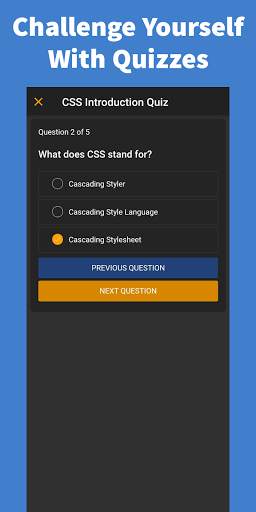 Learn CSS screenshot 7