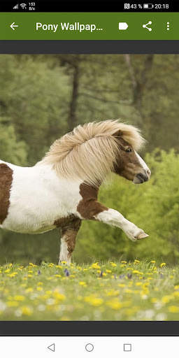 Little Pony Wallpapers screenshot 5