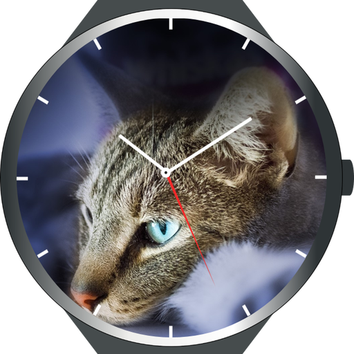 ikon Cats Watch Faces