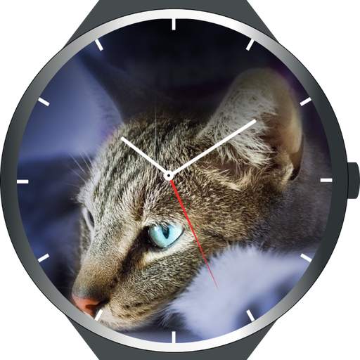 Cats Watch Faces 2.0