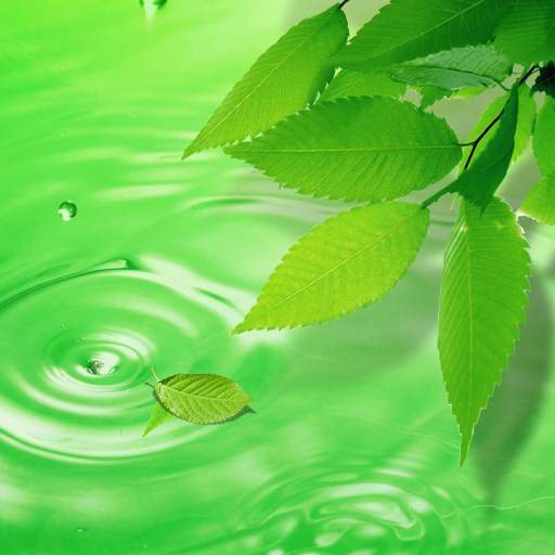 3D Leaves Live Wallpaper 1.0.8