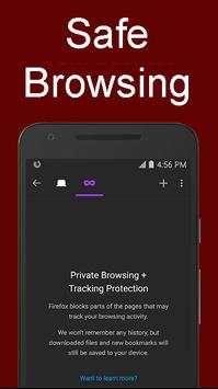 Ex Browser screenshot 2