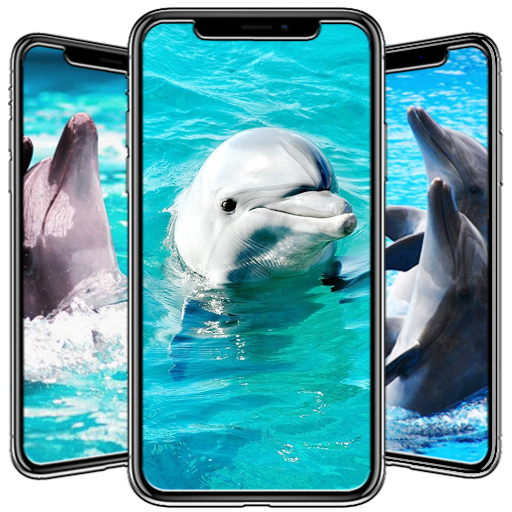 Dolphin Wallpaper icon