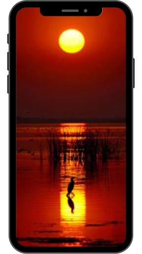 Sunset Wallpaper for Android 4K HD screenshot 12