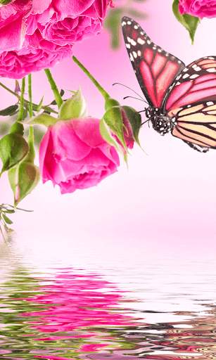 Rose Live Wallpaper screenshot 3
