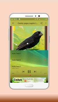 Towa Towa Bird screenshot 3