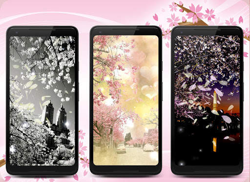 Sakura Live Wallpaper screenshot 3