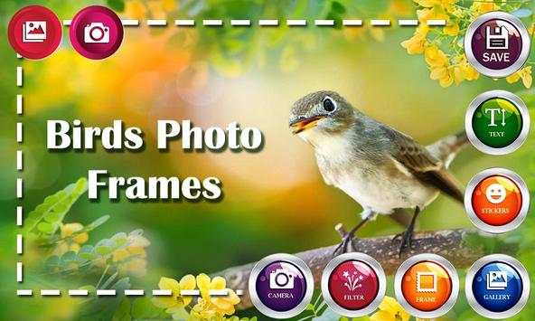 Birds HD Photo Frames and Live Wallpapers screenshot 1