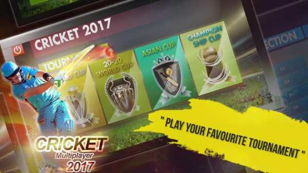 Cricket Multiplayer 2017 screenshot 2