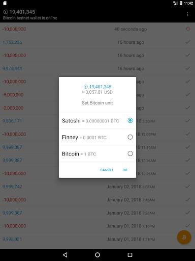 Bitcoin Lightning Wallet TESTNET screenshot 7