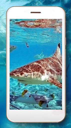 Sharks Live Wallpaper screenshot 4