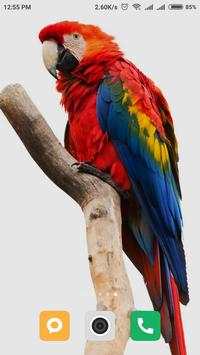 Bird wallpaper screenshot 14