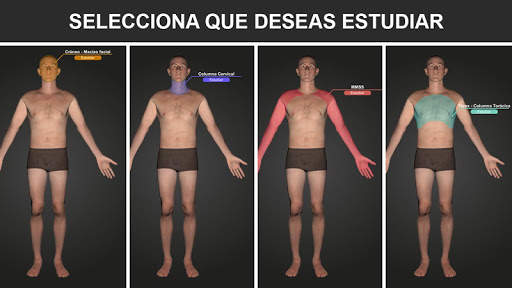 RX - Posiciones Radiológicas screenshot 1