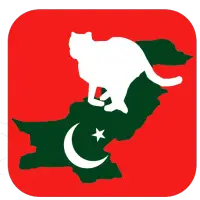 Pakistani apps and games.