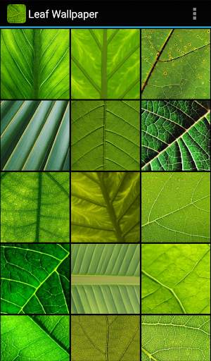 Leaf Wallpaper screenshot 2