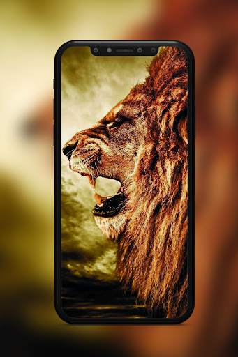 Lion Wallpaper screenshot 3