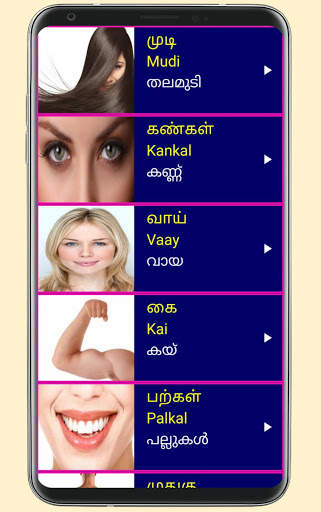 Learn Tamil From Malayalam 3 تصوير الشاشة