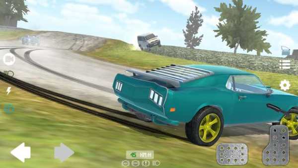 Fast Car Driving Simulator screenshot 14
