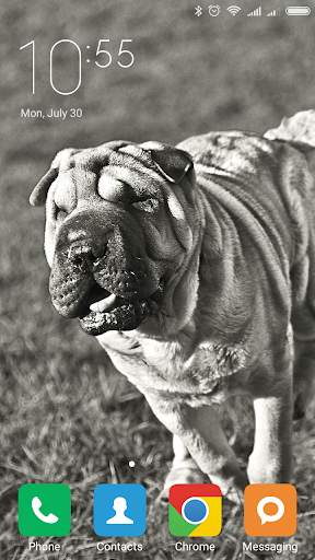 Shar Pei Wallpapers screenshot 4