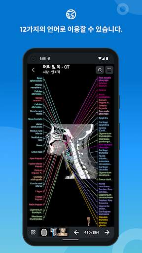 e-Anatomy screenshot 7