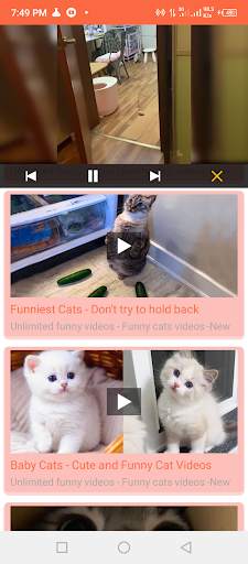 Funny Videos screenshot 7