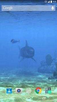 Dangerous Big Shark Live screenshot 3