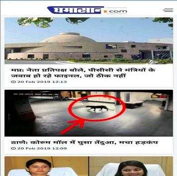 Ghamasan News screenshot 1